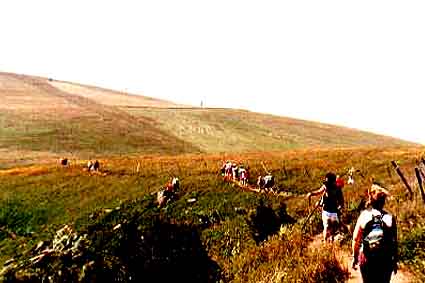 [Massif vosgien = randonn�es p�destres assur�es]